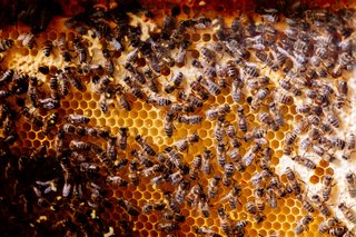 Kirchliche Hochzeit Leipzig Hochzeitsfeier Bienenfarm Kern-019.jpg