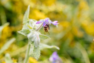 Kirchliche Hochzeit Leipzig Hochzeitsfeier Bienenfarm Kern-013.jpg