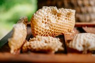 Kirchliche Hochzeit Leipzig Hochzeitsfeier Bienenfarm Kern-016.jpg
